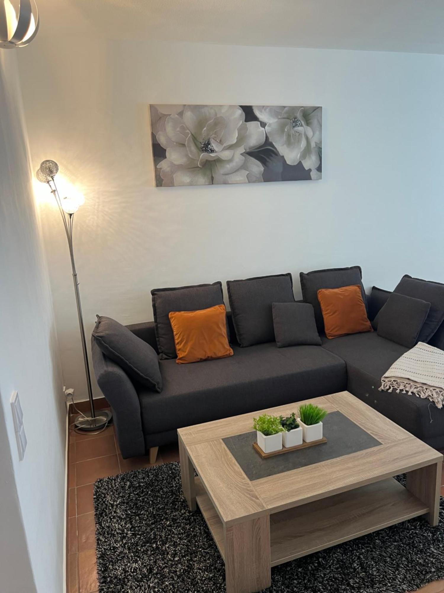 Magnifique Appartement Proche Des Plages Plus Garage Prive Antibes Kültér fotó